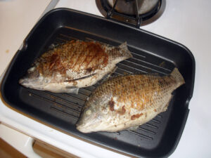 dadshomecookedmeals.com, grilled tilapia