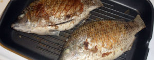 Dad home-cooked meals Grilled Tilapia