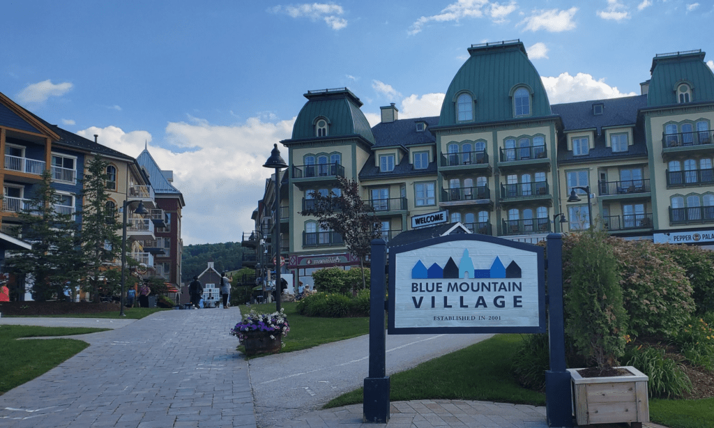 dadshomecookedmeals, The Blue Mountain, Fire Hall Pizza