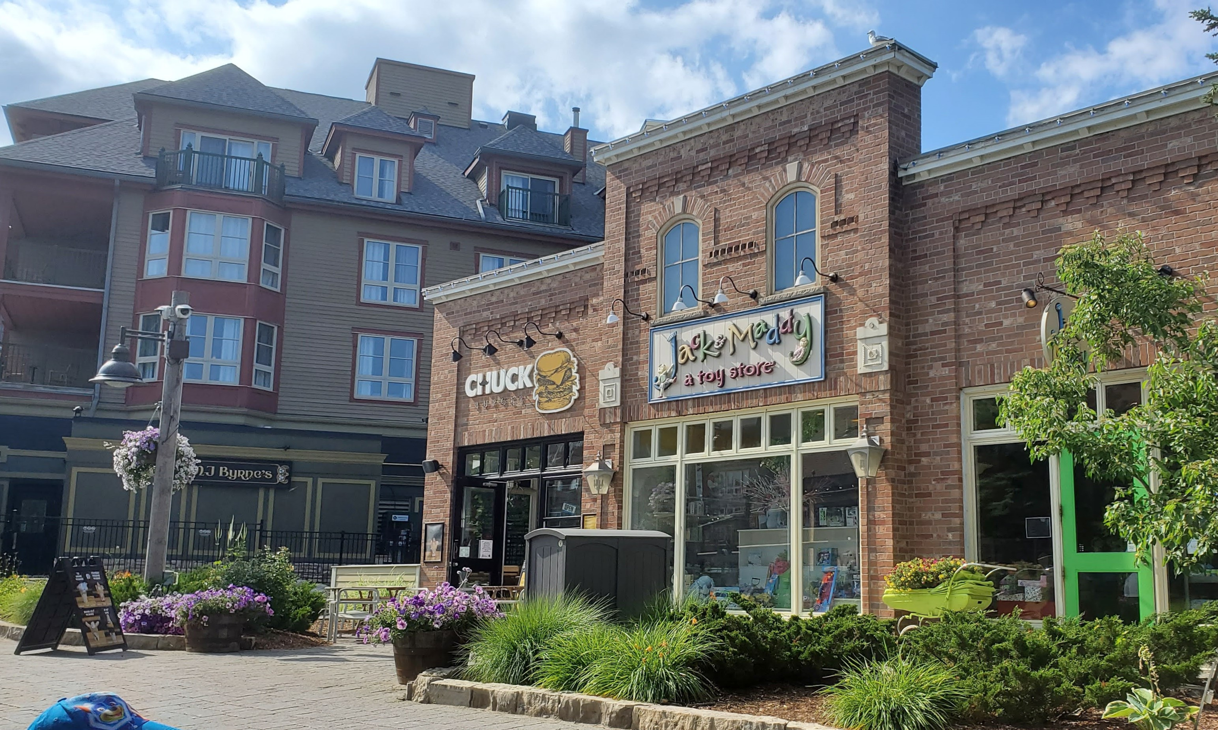 dadshomecookedmeals, The Blue Mountain, Fire Hall Pizza