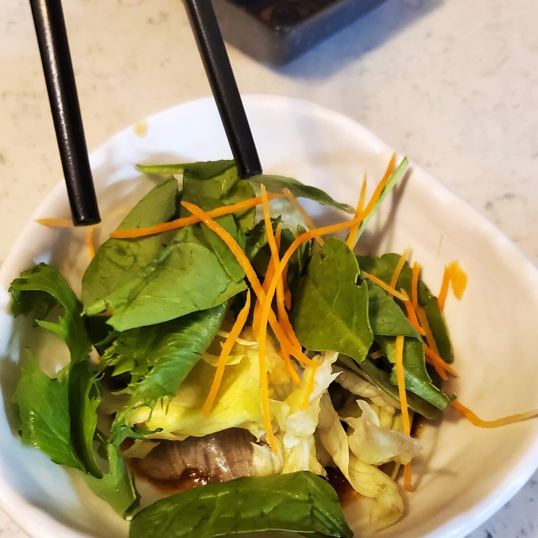 dadshomecookedmeals, Kenkou Sushi, Green Salad